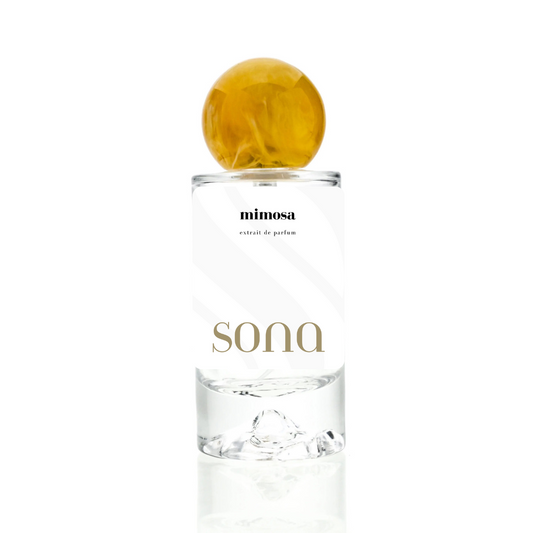 Mimosa